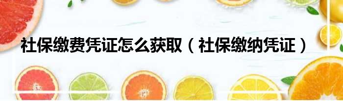 社保缴费凭证怎么获取（社保缴纳凭证）