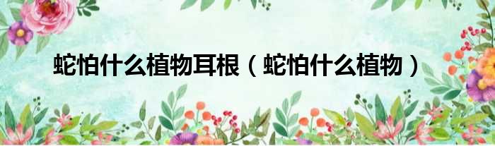 蛇怕什么植物耳根（蛇怕什么植物）