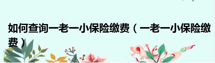如何查询一老一小保险缴费（一老一小保险缴费）