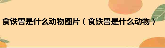 食铁兽是什么动物图片（食铁兽是什么动物）