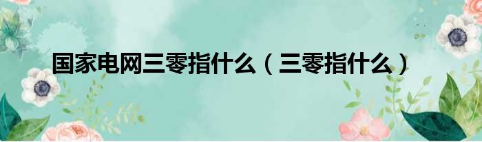 国家电网三零指什么（三零指什么）