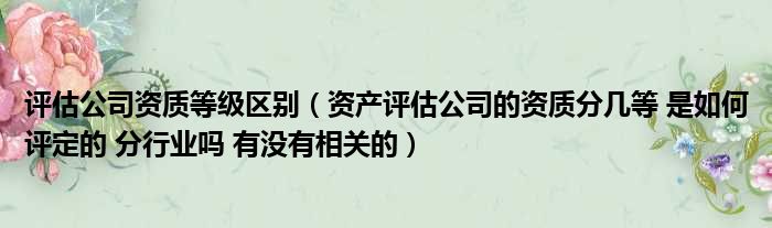 评估公司资质等级区别（资产评估公司的资质分几等 是如何评定的 分行业吗 有没有相关的）
