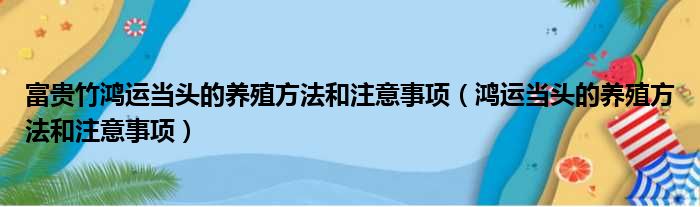 富贵竹鸿运当头的养殖方法和注意事项（鸿运当头的养殖方法和注意事项）