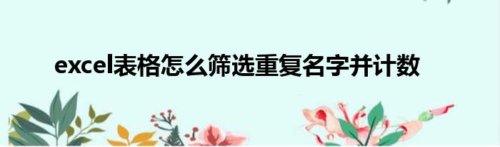 excel表格怎么筛选重复名字并计数