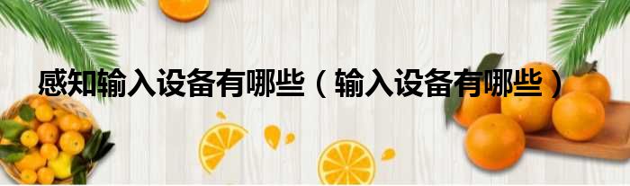 感知输入设备有哪些（输入设备有哪些）