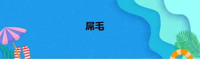 屌毛