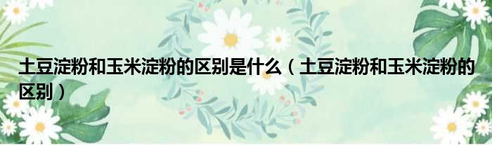 土豆淀粉和玉米淀粉的区别是什么（土豆淀粉和玉米淀粉的区别）