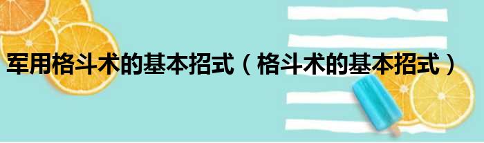 军用格斗术的基本招式（格斗术的基本招式）