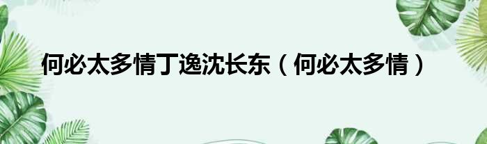 何必太多情丁逸沈长东（何必太多情）