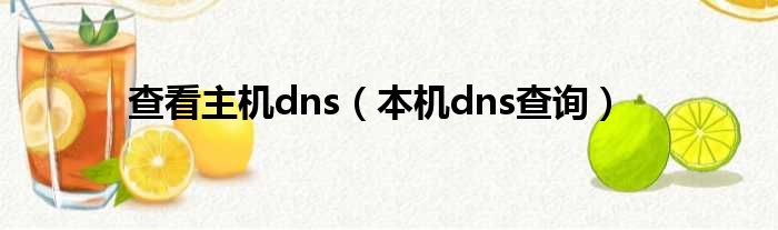 查看主机dns（本机dns查询）