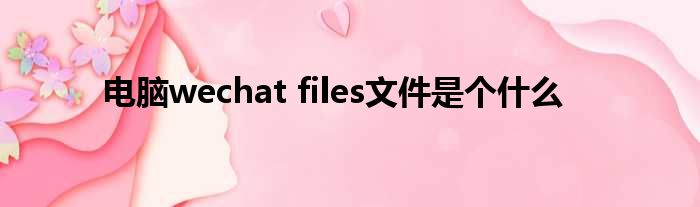 电脑wechat files文件是个什么