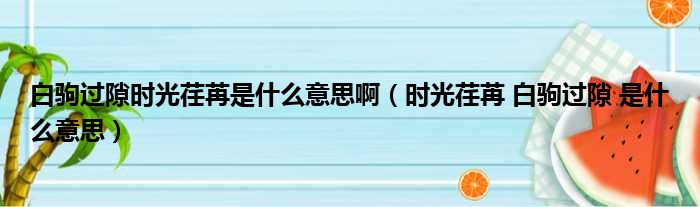 白驹过隙时光荏苒是什么意思啊（时光荏苒 白驹过隙 是什么意思）