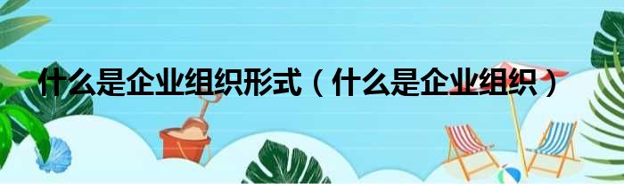 什么是企业组织形式（什么是企业组织）