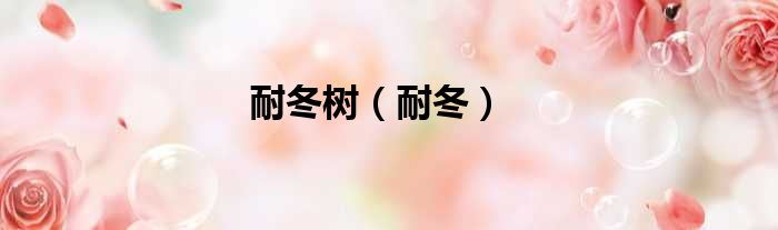 耐冬树（耐冬）