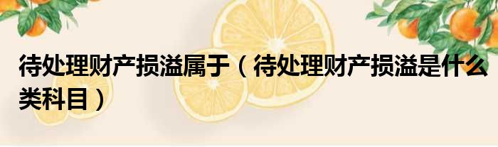 待处理财产损溢属于（待处理财产损溢是什么类科目）