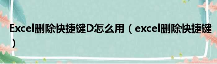 Excel删除快捷键D怎么用（excel删除快捷键）