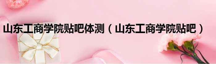 山东工商学院贴吧体测（山东工商学院贴吧）