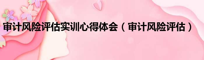 审计风险评估实训心得体会（审计风险评估）