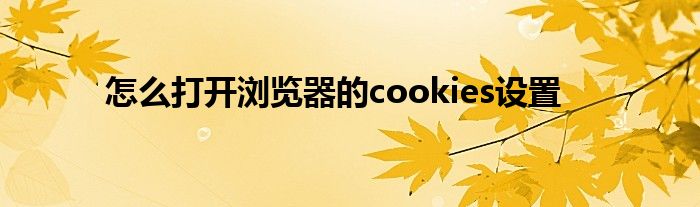 怎么打开浏览器的cookies设置