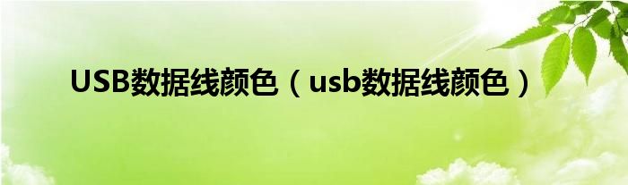 USB数据线颜色（usb数据线颜色）