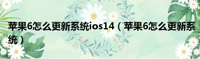 苹果6怎么更新系统ios14（苹果6怎么更新系统）