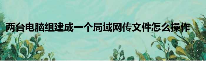 两台电脑组建成一个局域网传文件怎么操作