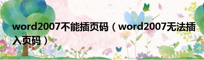 word2007不能插页码（word2007无法插入页码）