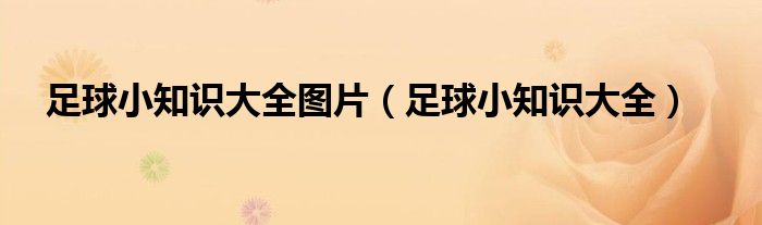 足球小知识大全图片（足球小知识大全）