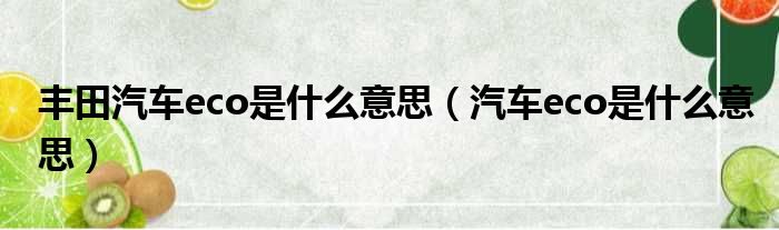 丰田汽车eco是什么意思（汽车eco是什么意思）