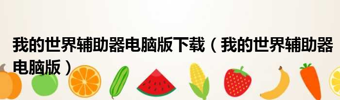 我的世界辅助器电脑版下载（我的世界辅助器电脑版）