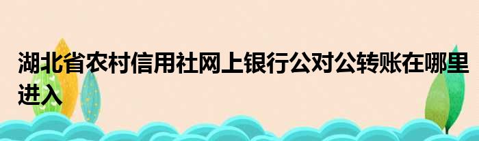 湖北省农村信用社网上银行公对公转账在哪里进入