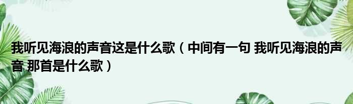 我听见海浪的声音这是什么歌（中间有一句 我听见海浪的声音 那首是什么歌）