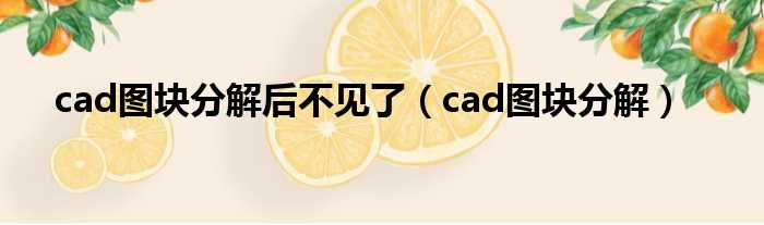 cad图块分解后不见了（cad图块分解）