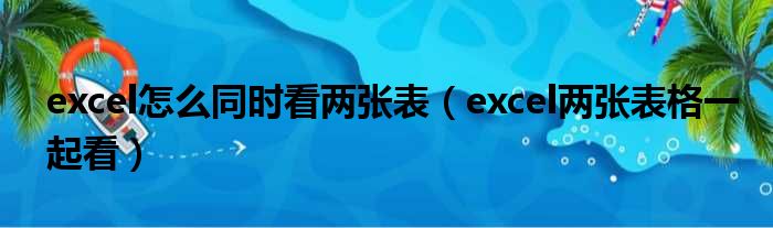excel怎么同时看两张表（excel两张表格一起看）