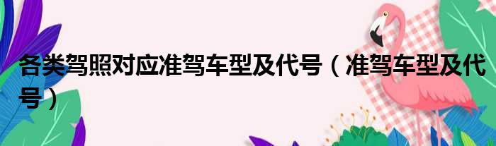各类驾照对应准驾车型及代号（准驾车型及代号）