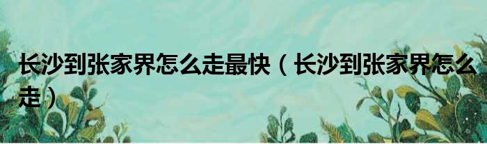 长沙到张家界怎么走最快（长沙到张家界怎么走）