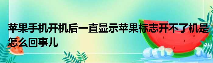 苹果手机开机后一直显示苹果标志开不了机是怎么回事儿