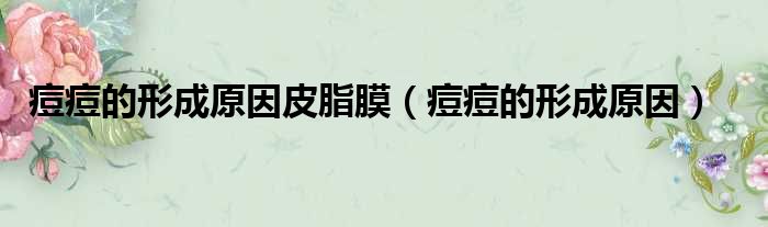痘痘的形成原因皮脂膜（痘痘的形成原因）