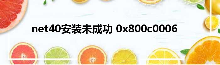 net40安装未成功 0x800c0006
