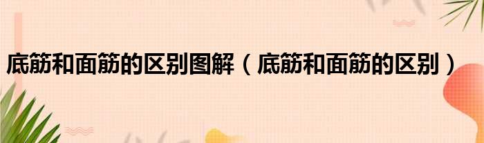 底筋和面筋的区别图解（底筋和面筋的区别）