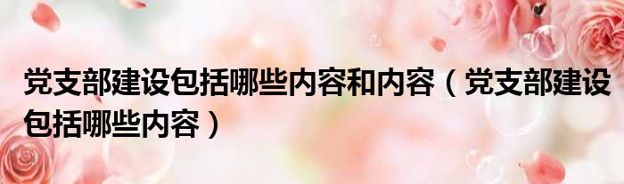 党支部建设包括哪些内容和内容（党支部建设包括哪些内容）