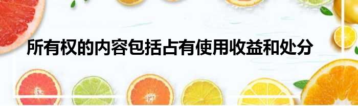 所有权的内容包括占有使用收益和处分