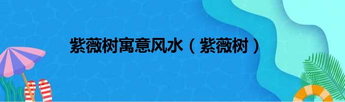 紫薇树寓意风水（紫薇树）