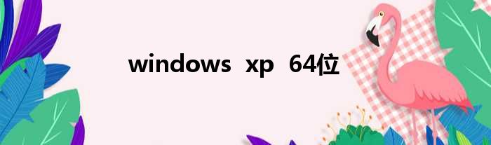 windows  xp  64位
