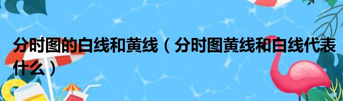 分时图的白线和黄线（分时图黄线和白线代表什么）