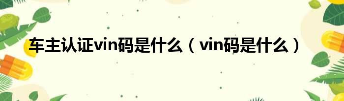 车主认证vin码是什么（vin码是什么）