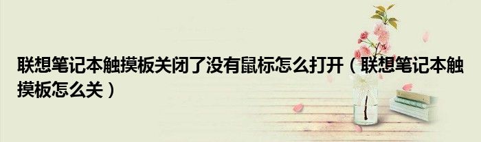 联想笔记本触摸板关闭了没有鼠标怎么打开（联想笔记本触摸板怎么关）