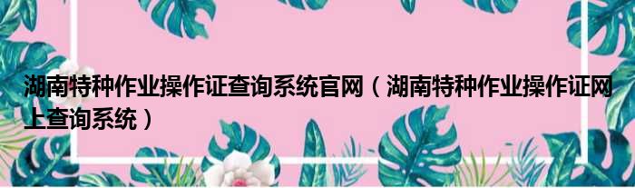 湖南特种作业操作证查询系统官网（湖南特种作业操作证网上查询系统）