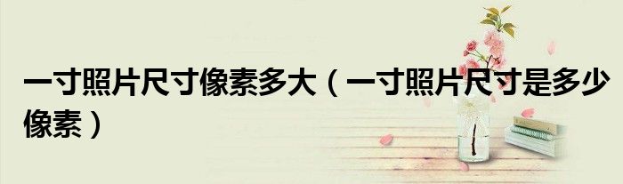 一寸照片尺寸像素多大（一寸照片尺寸是多少像素）