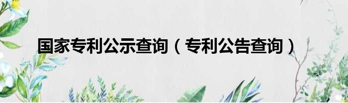 国家专利公示查询（专利公告查询）